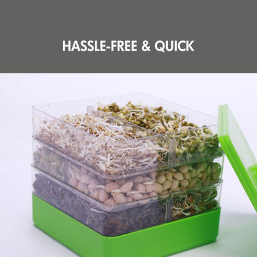 4 Compartment Easy Sprout Maker (4CSM3)
