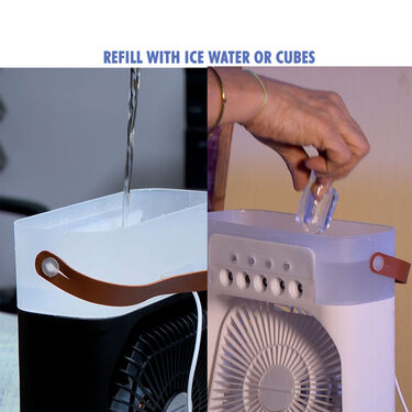 Electric Air Cooler Fan With Mist (EF17)