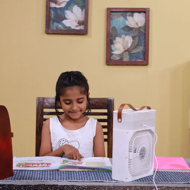 Electric Air Cooler Fan With Mist (EF17)