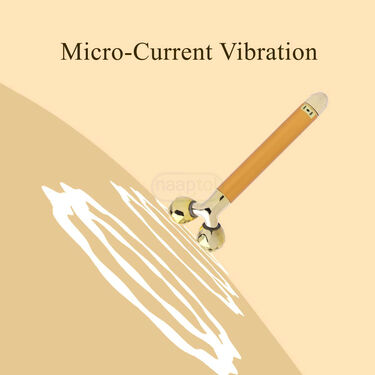 Beauty Bar Electric Vibration Facial Massage V shape Roller (FM4)