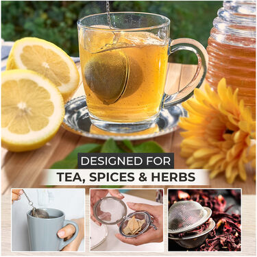 Stainless Steel Infuser For Tea & Spices (ITS1)