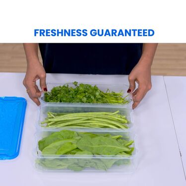 3 Layer Veggie Fresh Storage Container --BOGO (6VF2)