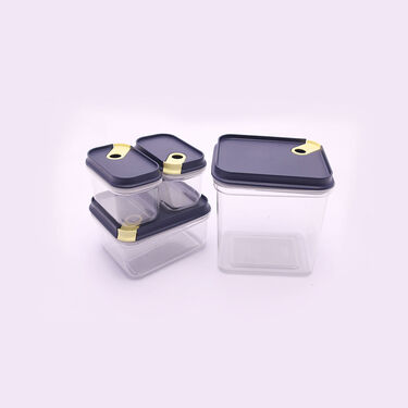 4 Pcs Push & Lock Airtight Storage Container (4PL1)