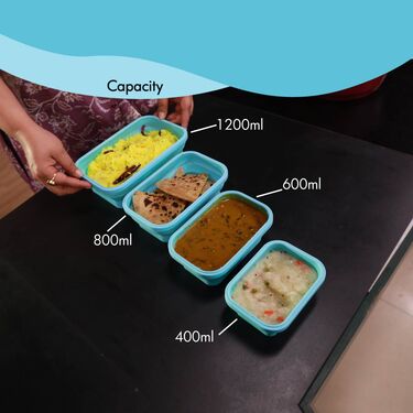 Set Of 4 Foldable Silicone Storage Containers (4FSSC1)