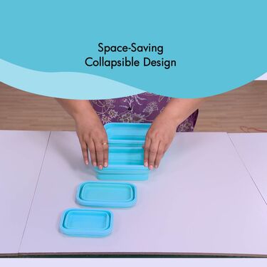 Set Of 4 Foldable Silicone Storage Containers (4FSSC1)
