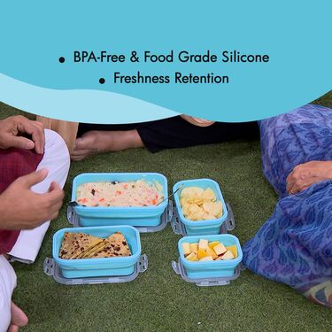 Set Of 4 Foldable Silicone Storage Containers (4FSSC1)