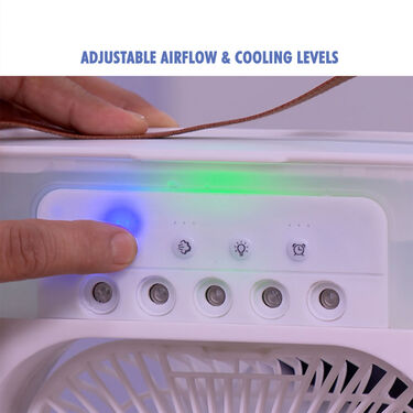 Electric Air Cooler Fan With Mist (EF17)