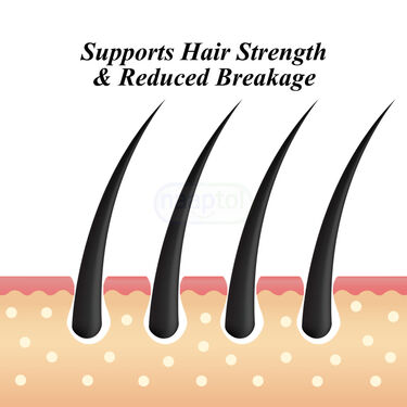 Ayurvedic Oil Shampoo & Conditioner For Hair Strength & Volume For Men (FHFTM)