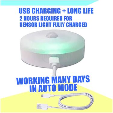 Motion Sensor Solar Light Pack of 2 (D6)