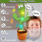 Dancing Talking And Singing Cactus