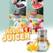 All in 1 Juicer (D3)
