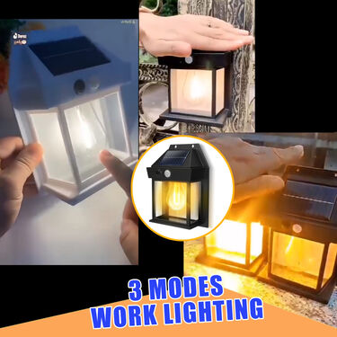 Motion Sensor Solar Wall Lamp (D1)
